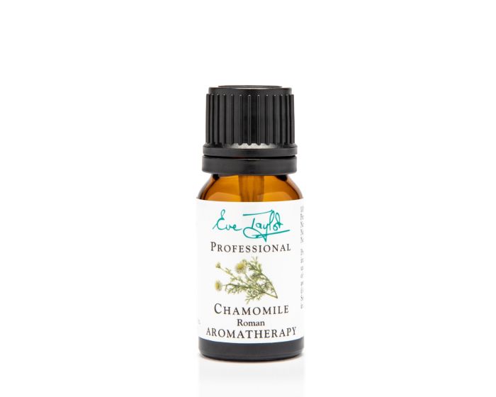 Chamomile Roman