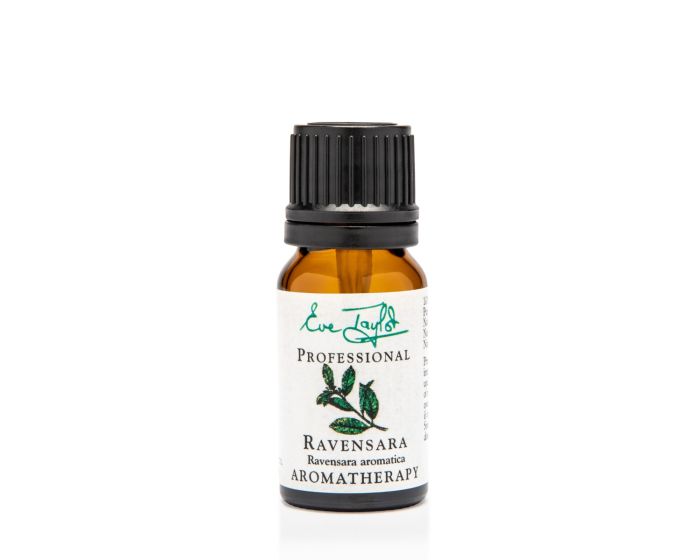 Ravensara Essential Oil