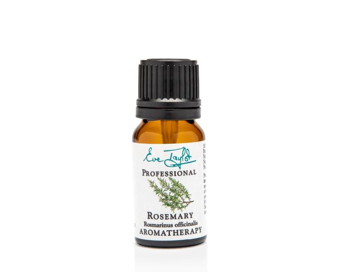 Rosemary CT Camphor Essential Oil